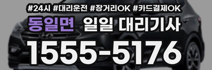 동일면 일일 대리기사
