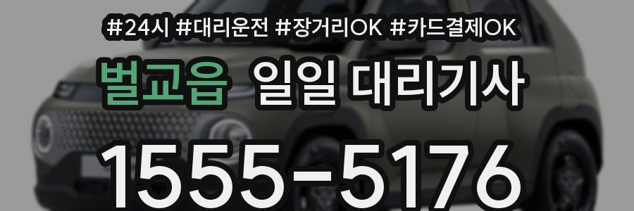 벌교읍 일일 대리기사