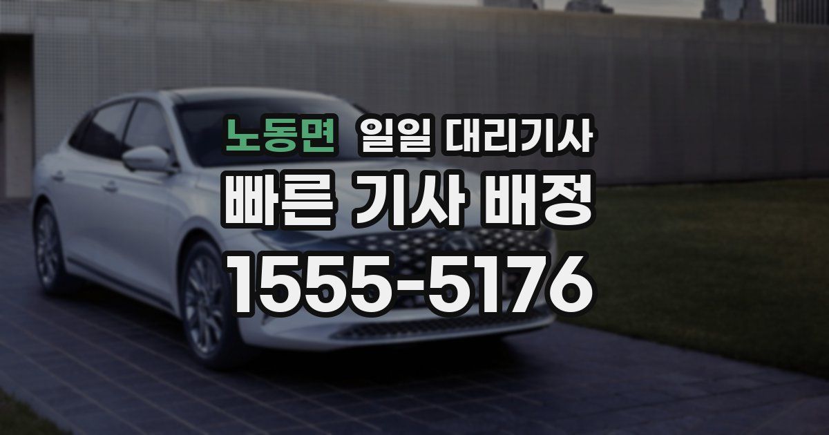 노동면 일일 대리기사