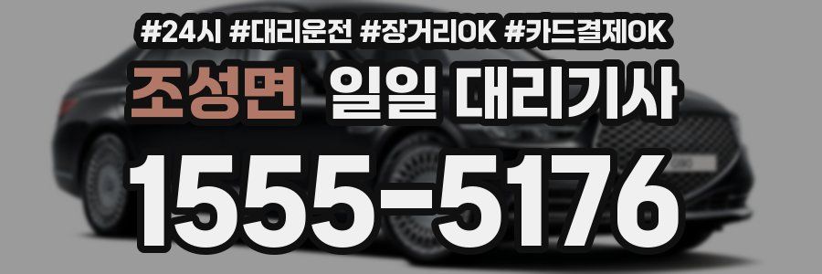 조성면 일일 대리기사