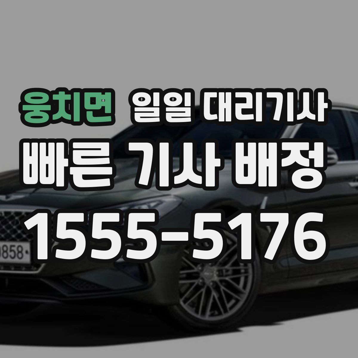 웅치면 일일 대리기사