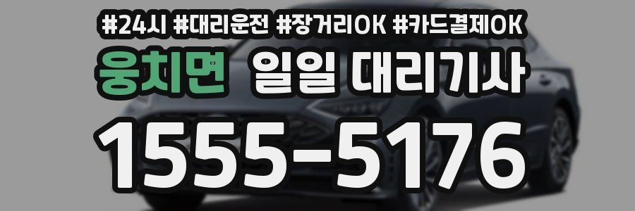 웅치면 일일 대리기사