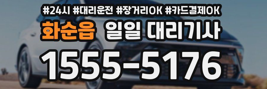 화순읍 일일 대리기사
