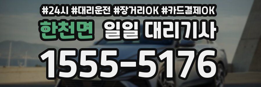 한천면 일일 대리기사