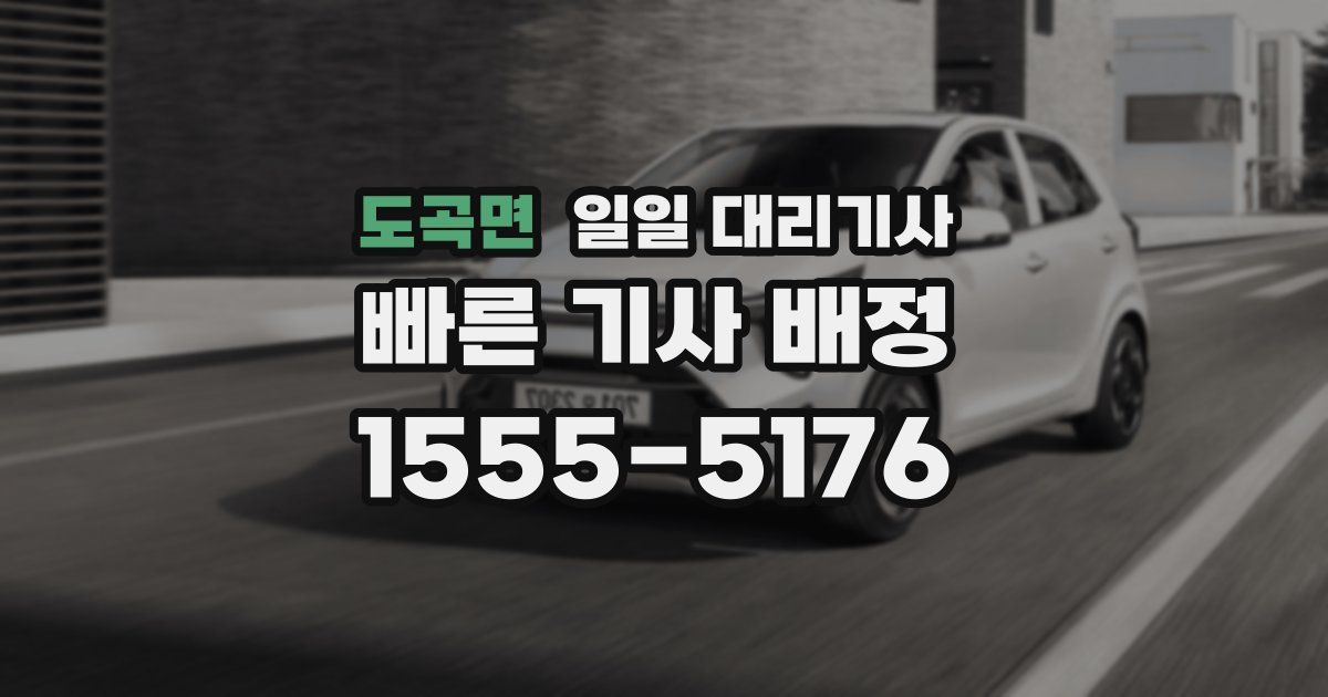도곡면 일일 대리기사