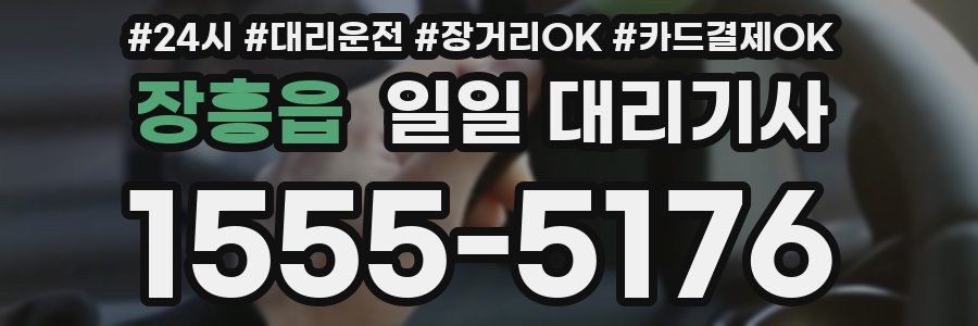 장흥읍 일일 대리기사