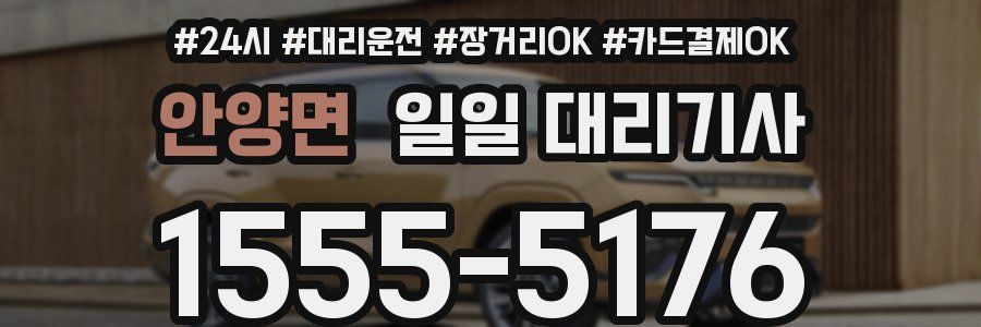 안양면 일일 대리기사
