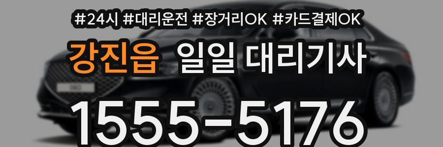 강진읍 일일 대리기사