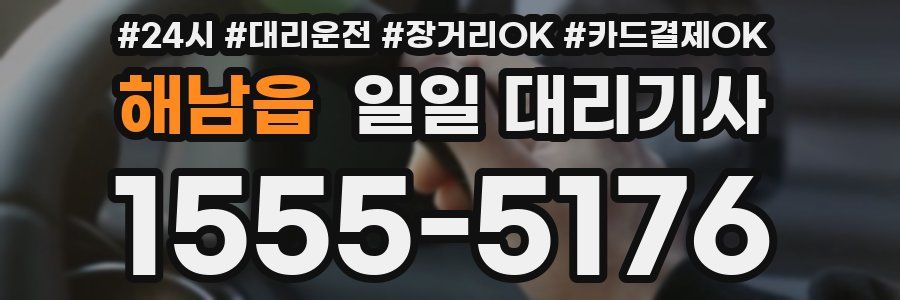 해남읍 일일 대리기사