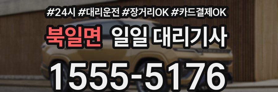 북일면 일일 대리기사