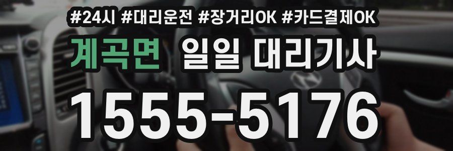 계곡면 일일 대리기사