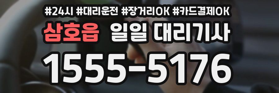 삼호읍 일일 대리기사