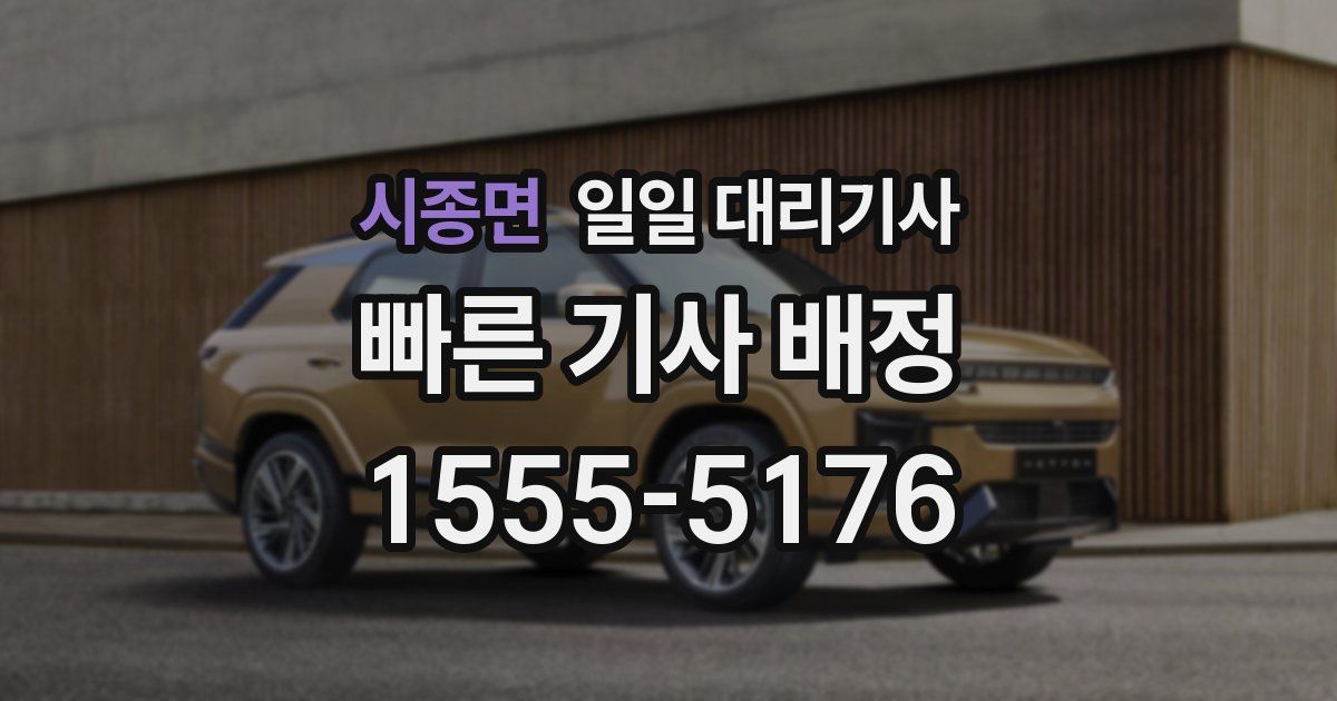 시종면 일일 대리기사