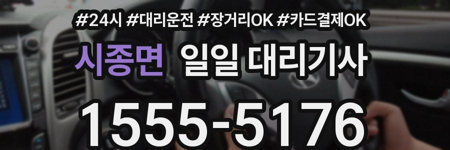 시종면 일일 대리기사