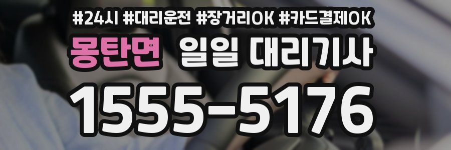 몽탄면 일일 대리기사
