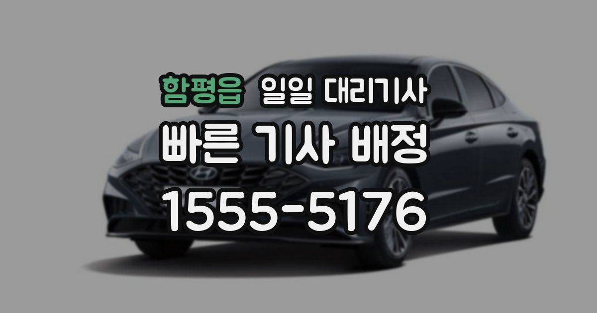 함평읍 일일 대리기사
