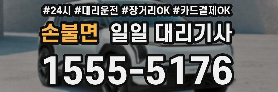 손불면 일일 대리기사