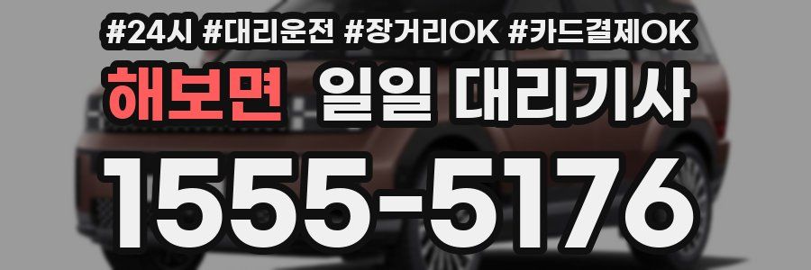 해보면 일일 대리기사
