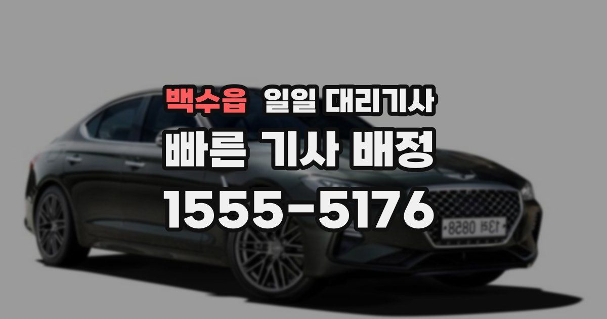 백수읍 일일 대리기사