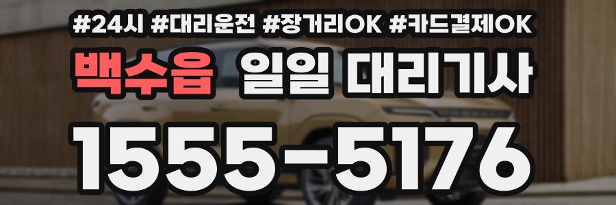 백수읍 일일 대리기사