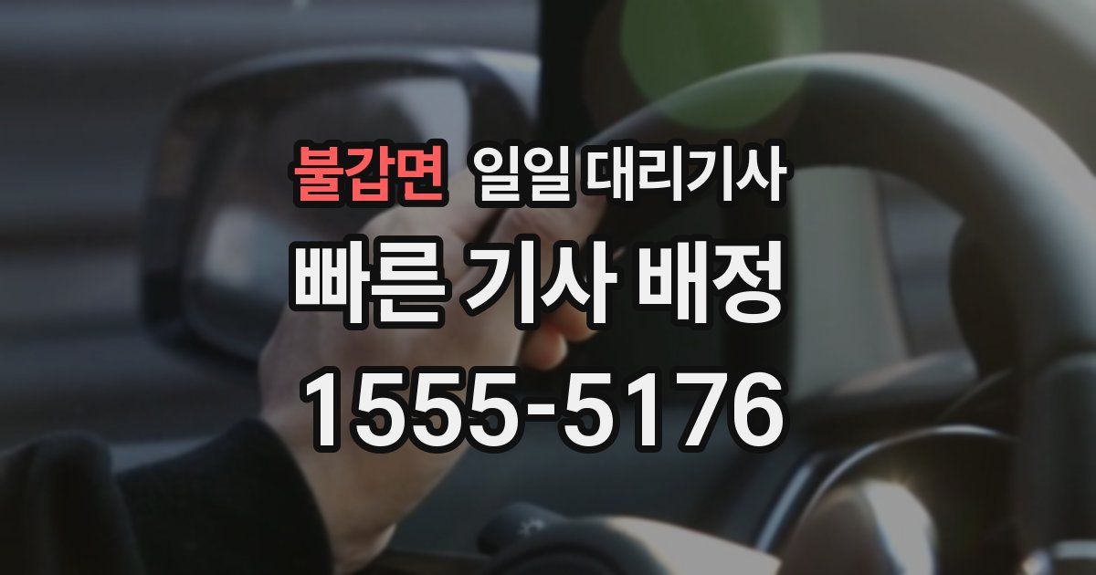 불갑면 일일 대리기사