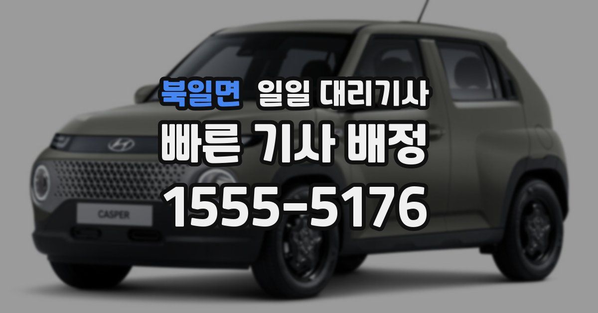 북일면 일일 대리기사