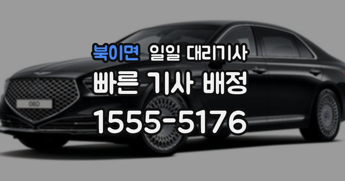 북이면 일일 대리기사