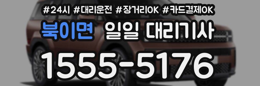 북이면 일일 대리기사