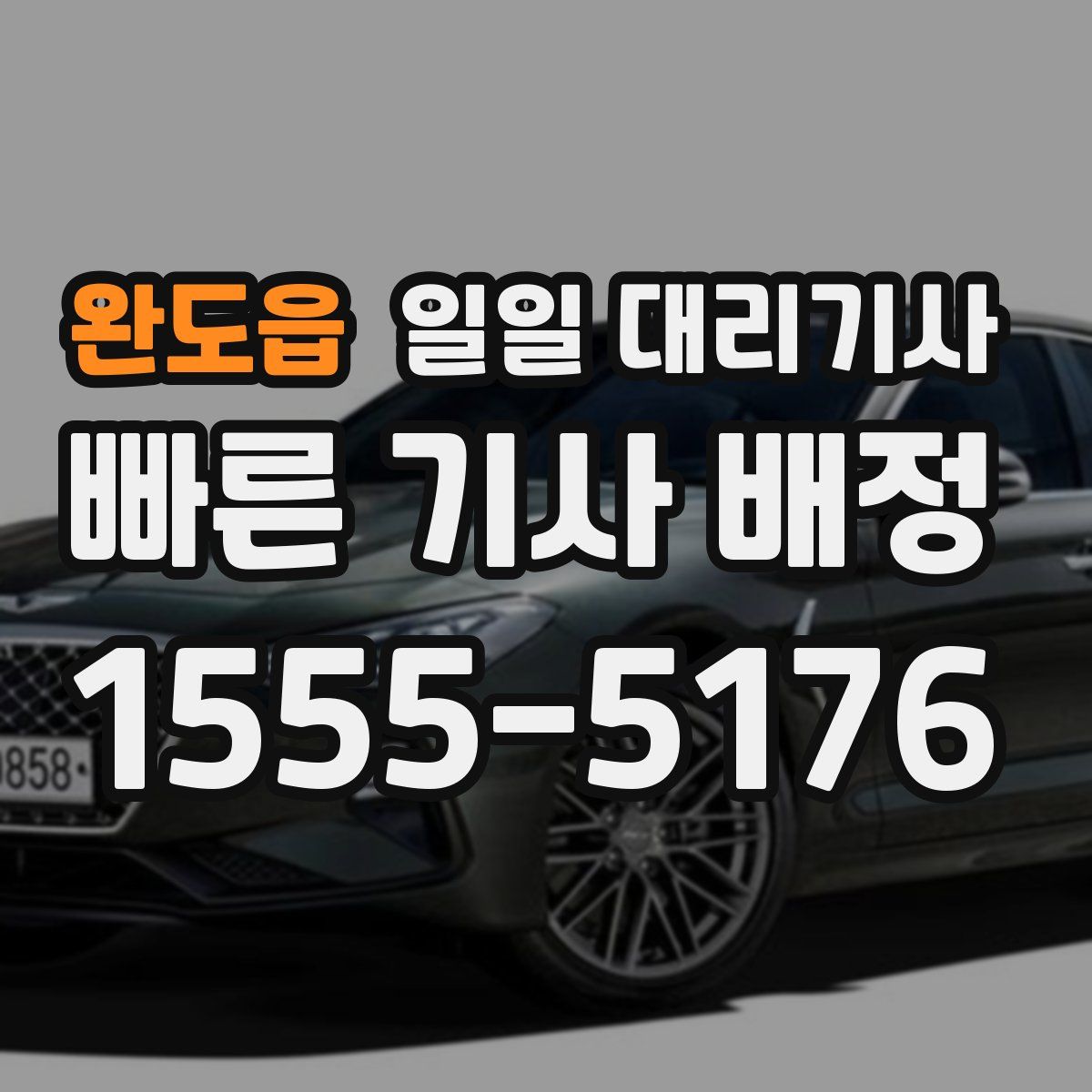 완도읍 일일 대리기사