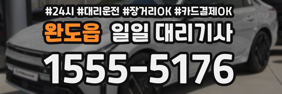 완도읍 일일 대리기사