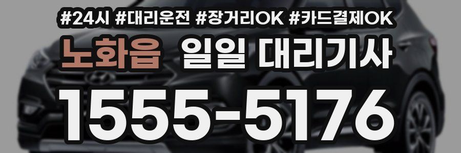 노화읍 일일 대리기사