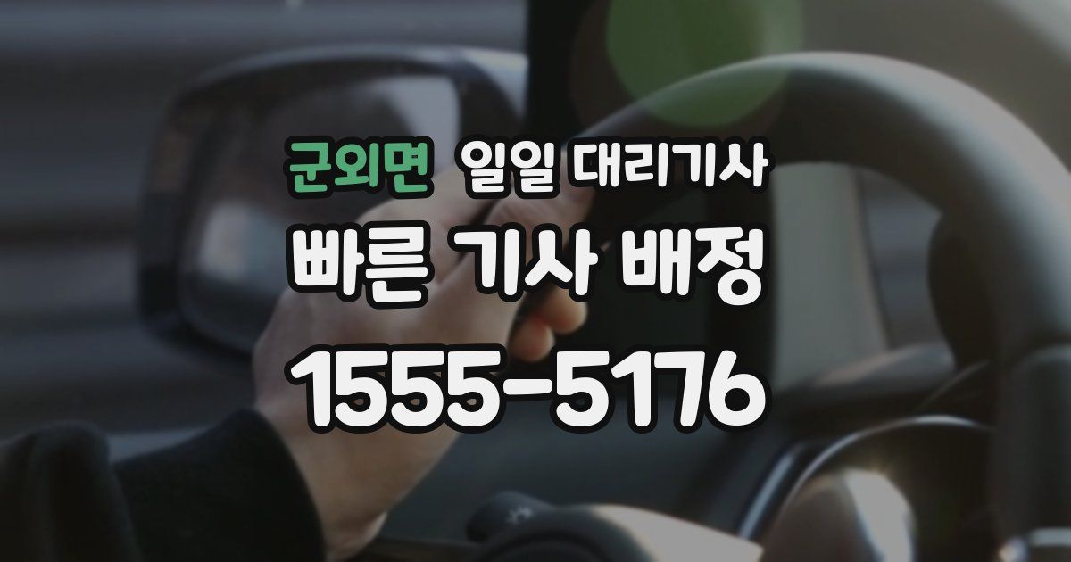 군외면 일일 대리기사