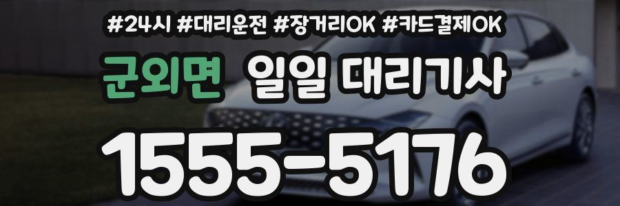 군외면 일일 대리기사