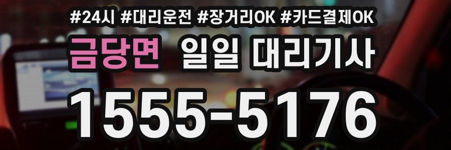 금당면 일일 대리기사