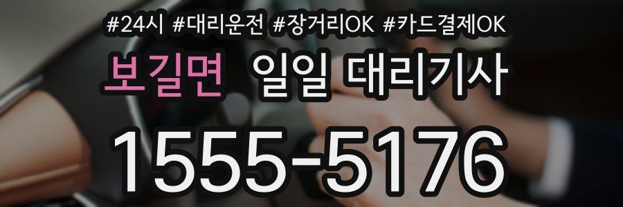 보길면 일일 대리기사