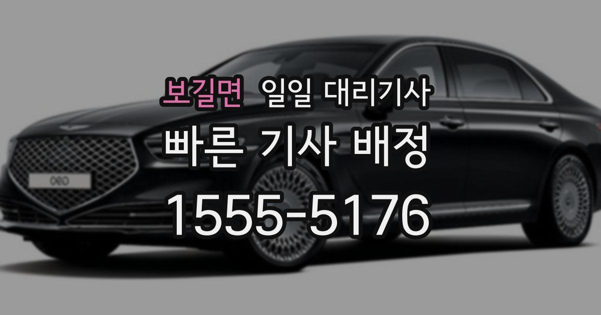 보길면 일일 대리기사