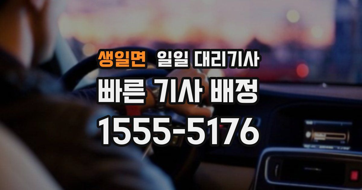 생일면 일일 대리기사