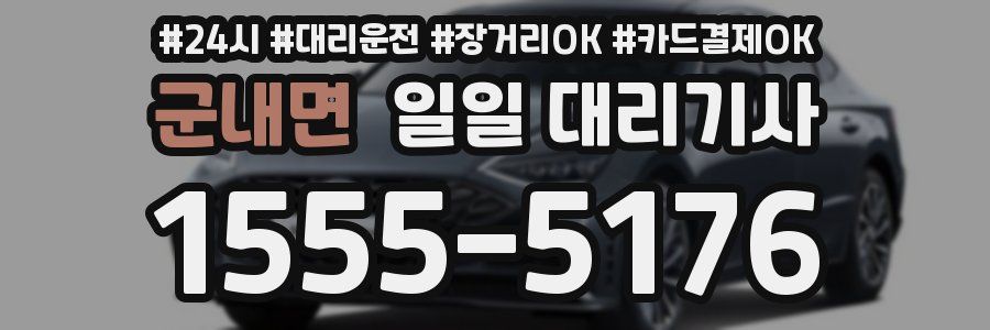 군내면 일일 대리기사