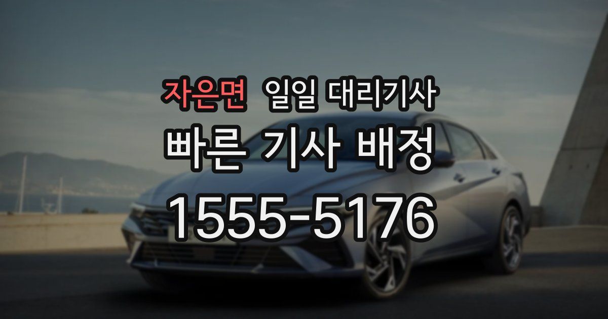 자은면 일일 대리기사