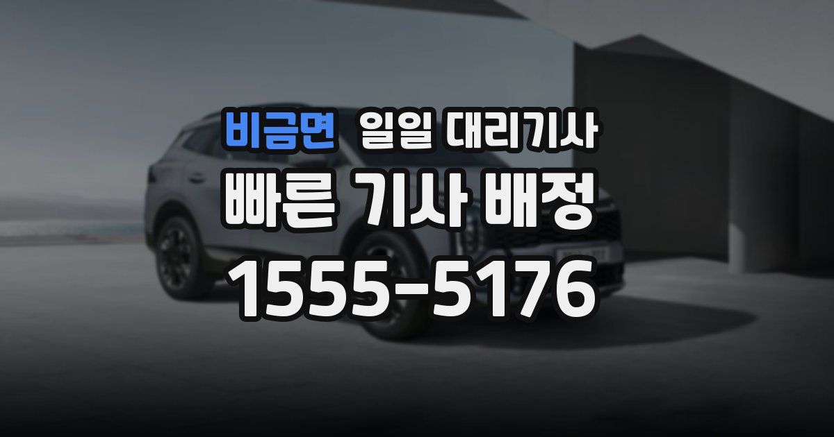 비금면 일일 대리기사