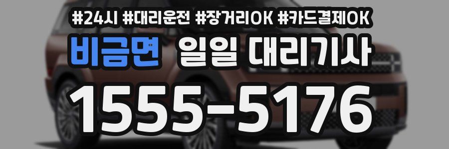 비금면 일일 대리기사