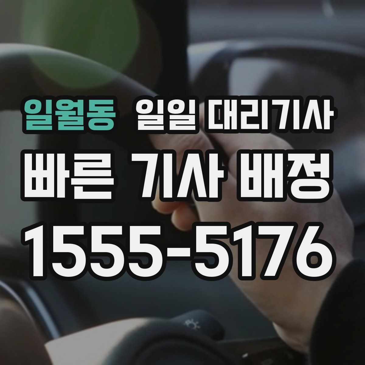 일월동 일일 대리기사