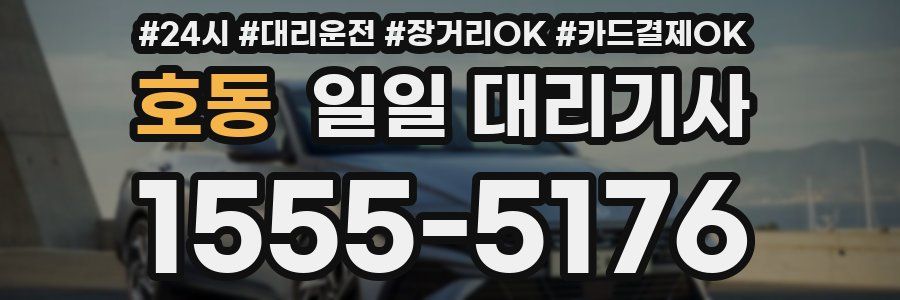 호동 일일 대리기사