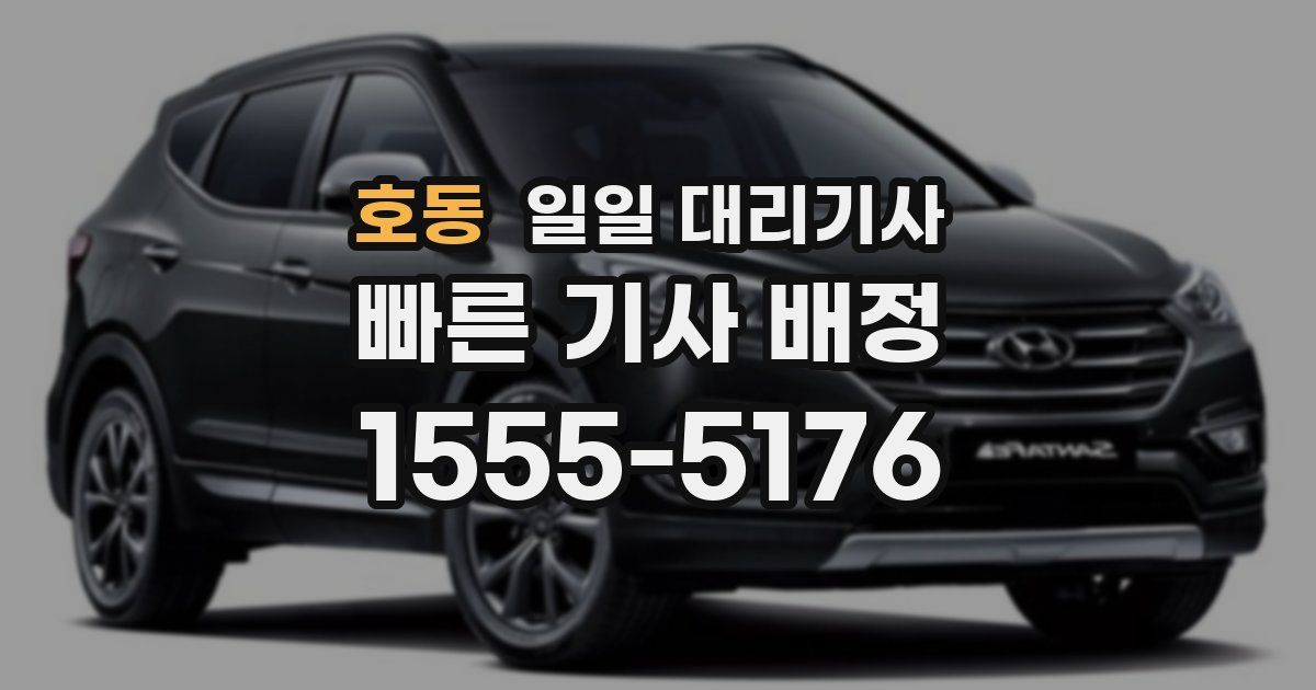 호동 일일 대리기사