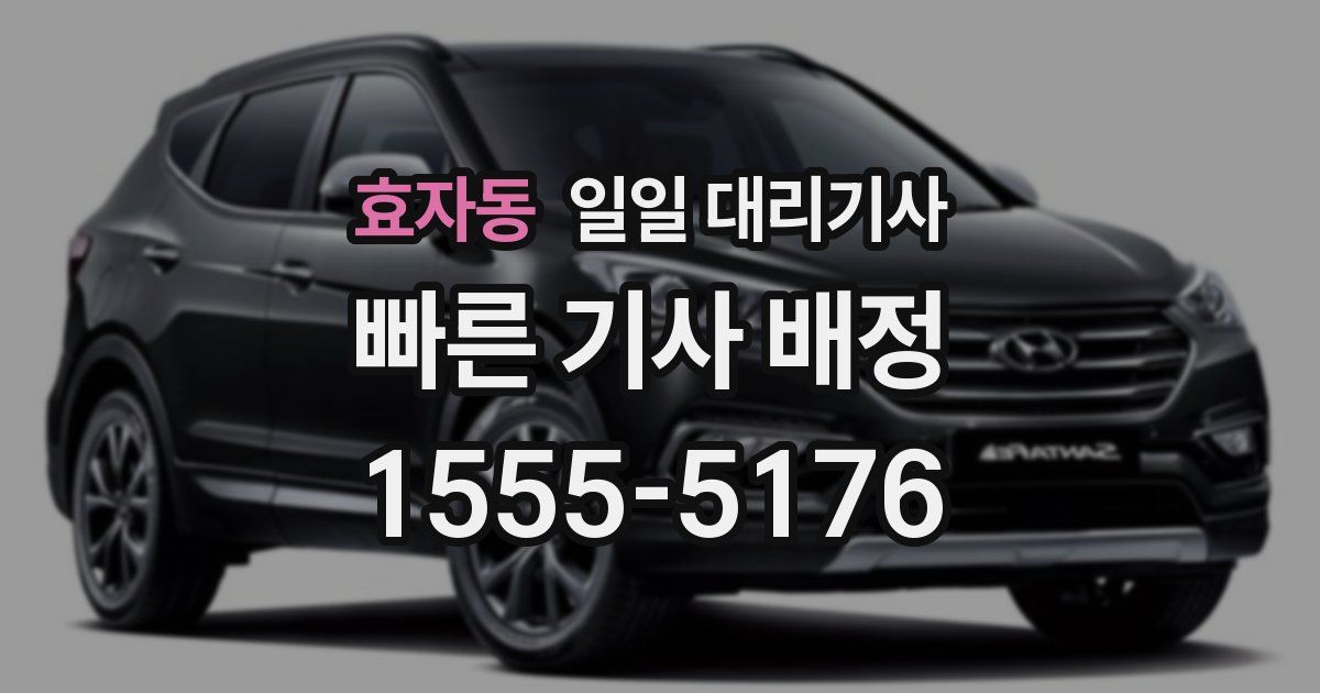효자동 일일 대리기사