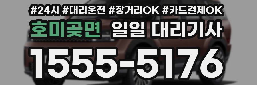 호미곶면 일일 대리기사