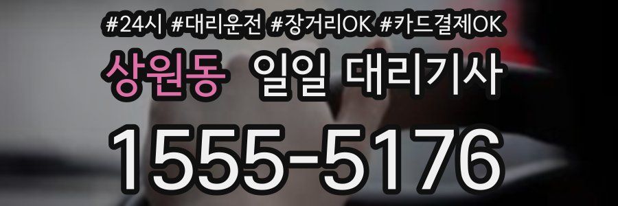 상원동 일일 대리기사