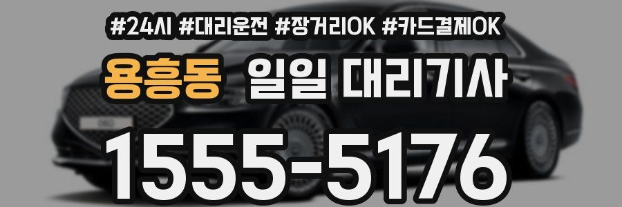 용흥동 일일 대리기사