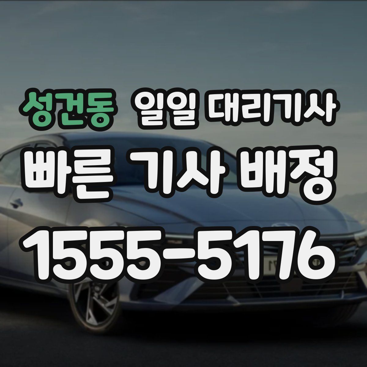 성건동 일일 대리기사