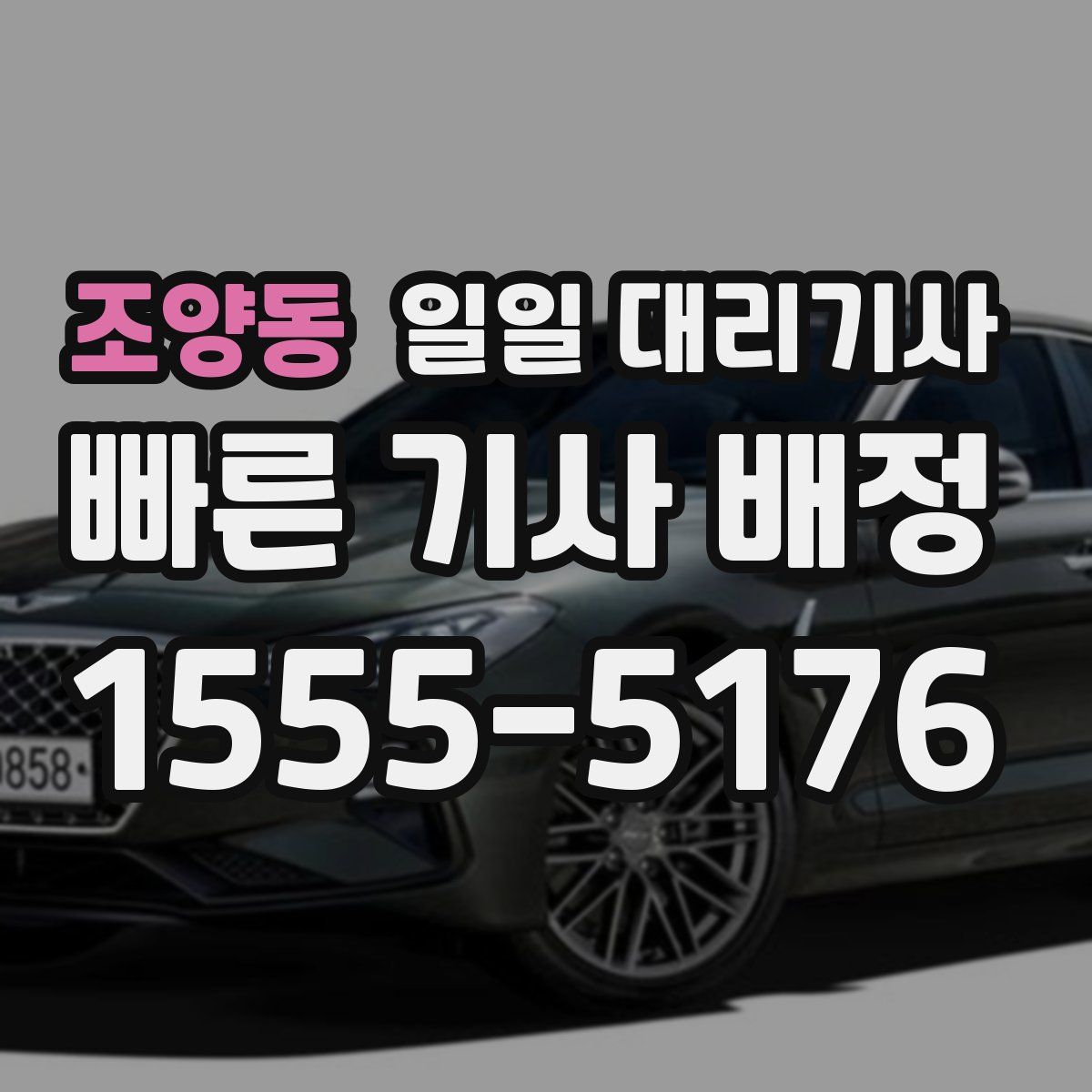 조양동 일일 대리기사